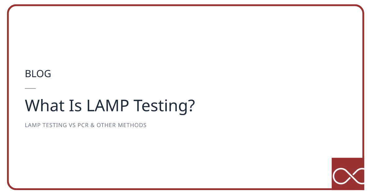 What Is LAMP Testing?